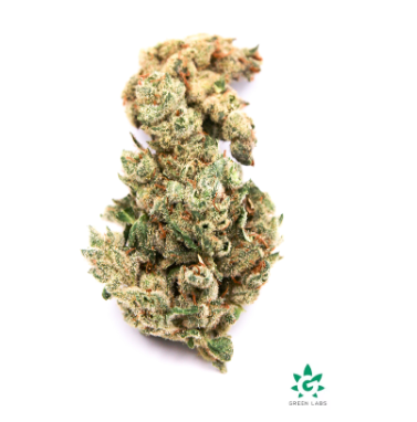 Photograph of product: Caesar | 3.5g | Pre-Packed | Dutch Touch Genetics