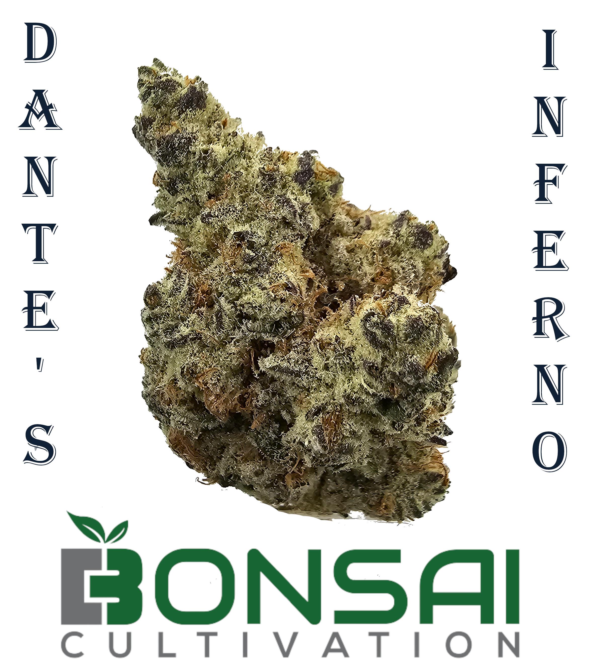 Photograph of product: Dante's Inferno (I/H) By Bonsai - 28g