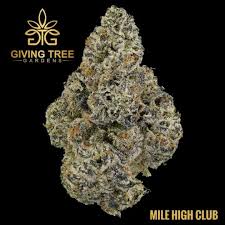Photograph of product: Mile High Club | Giving Tree Gardens | Bulk Flower