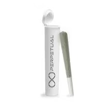 Photograph of product: Garlic Juice | 1G Pre-Roll (TAX INCLUDED)