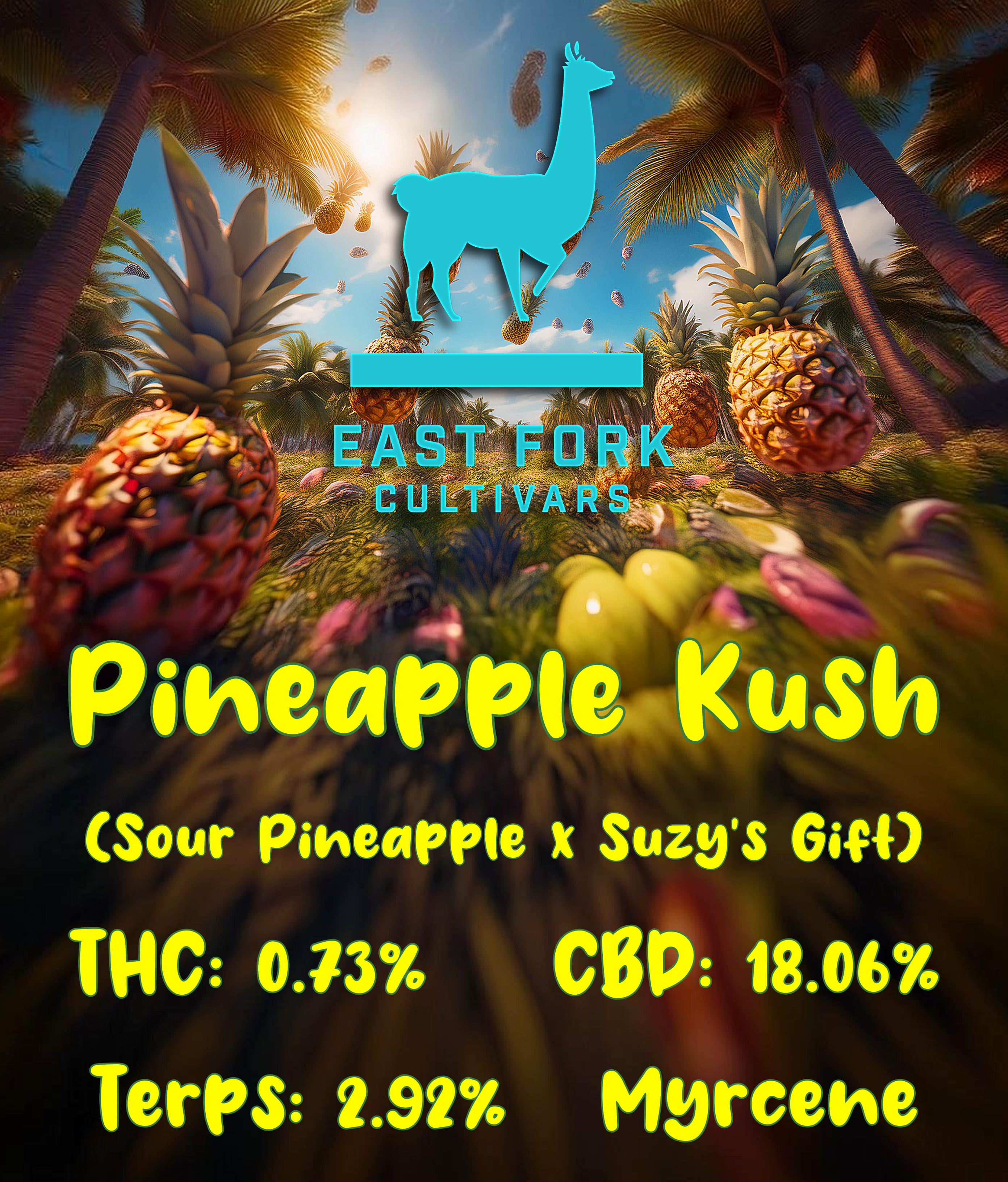 Photograph of product: Pineapple Kush (East Fork Cultivars) - 14g