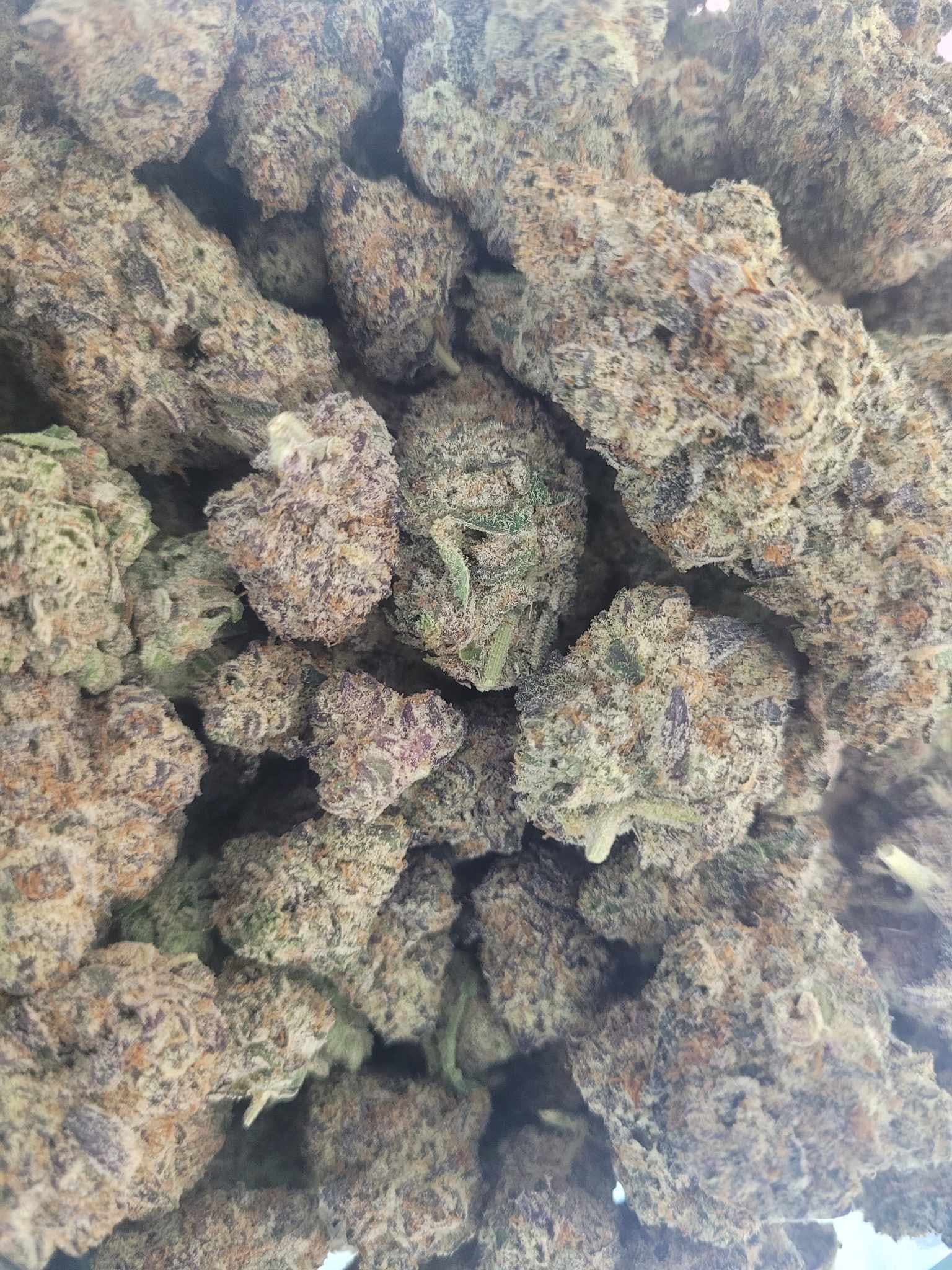 Photograph of product: Oreoz Blizzard