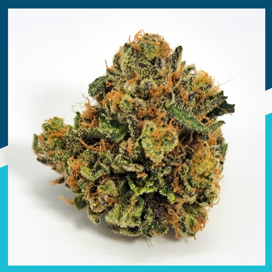 Photograph of product: Cold Creek Kush | Flower | Unwind - 3.5g