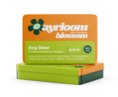 Photograph of product: Key Lime 0.5 5PK Infused Pre-rolls | 3G |