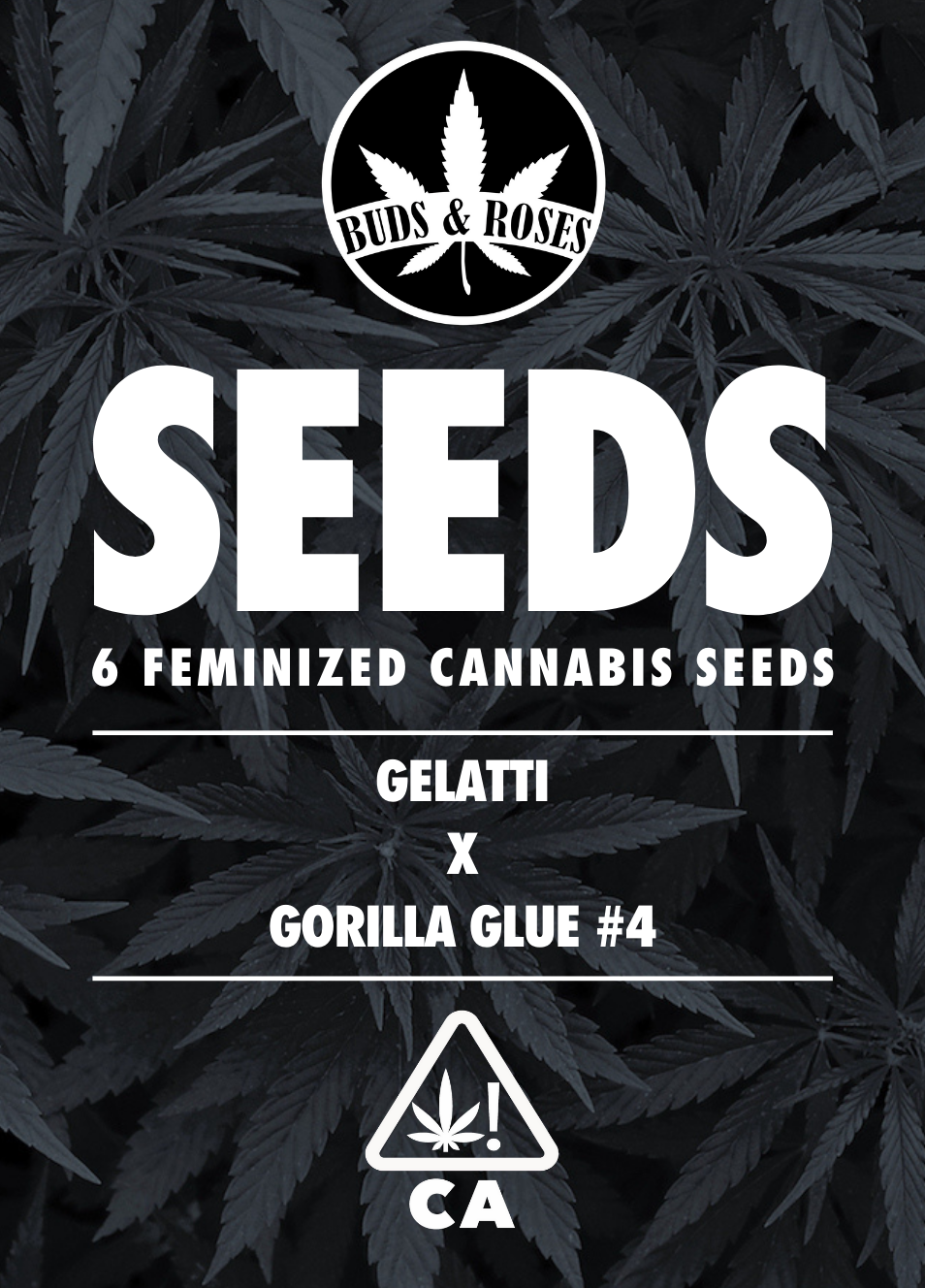 Photograph of product: 6pk Fem Seeds - Gorilla Glue #4 x Gelatti