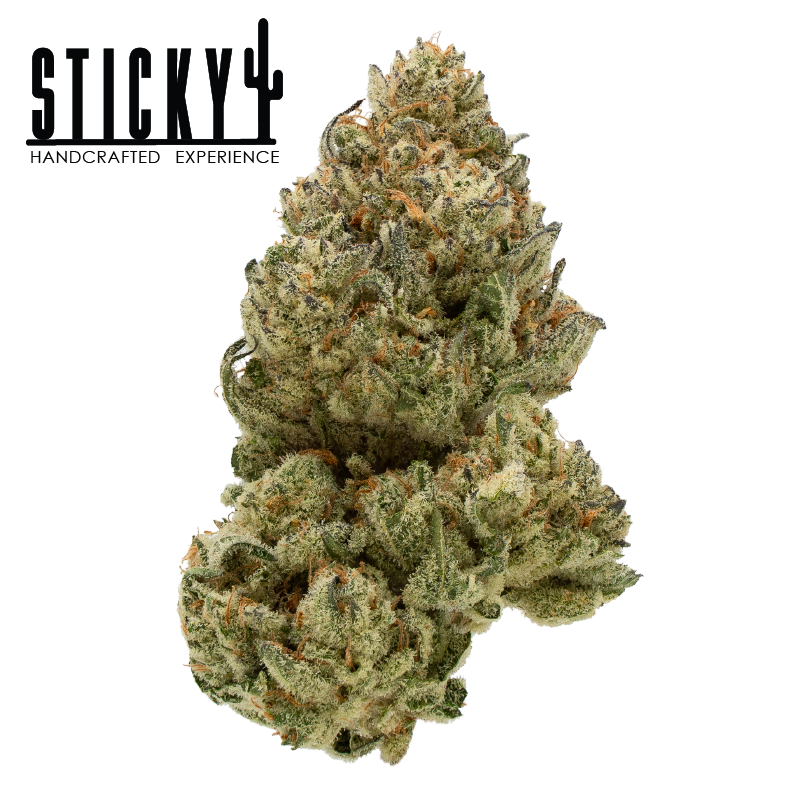 Photograph of product: Sticky Flower Gluejitsu 3.5g (S/H)