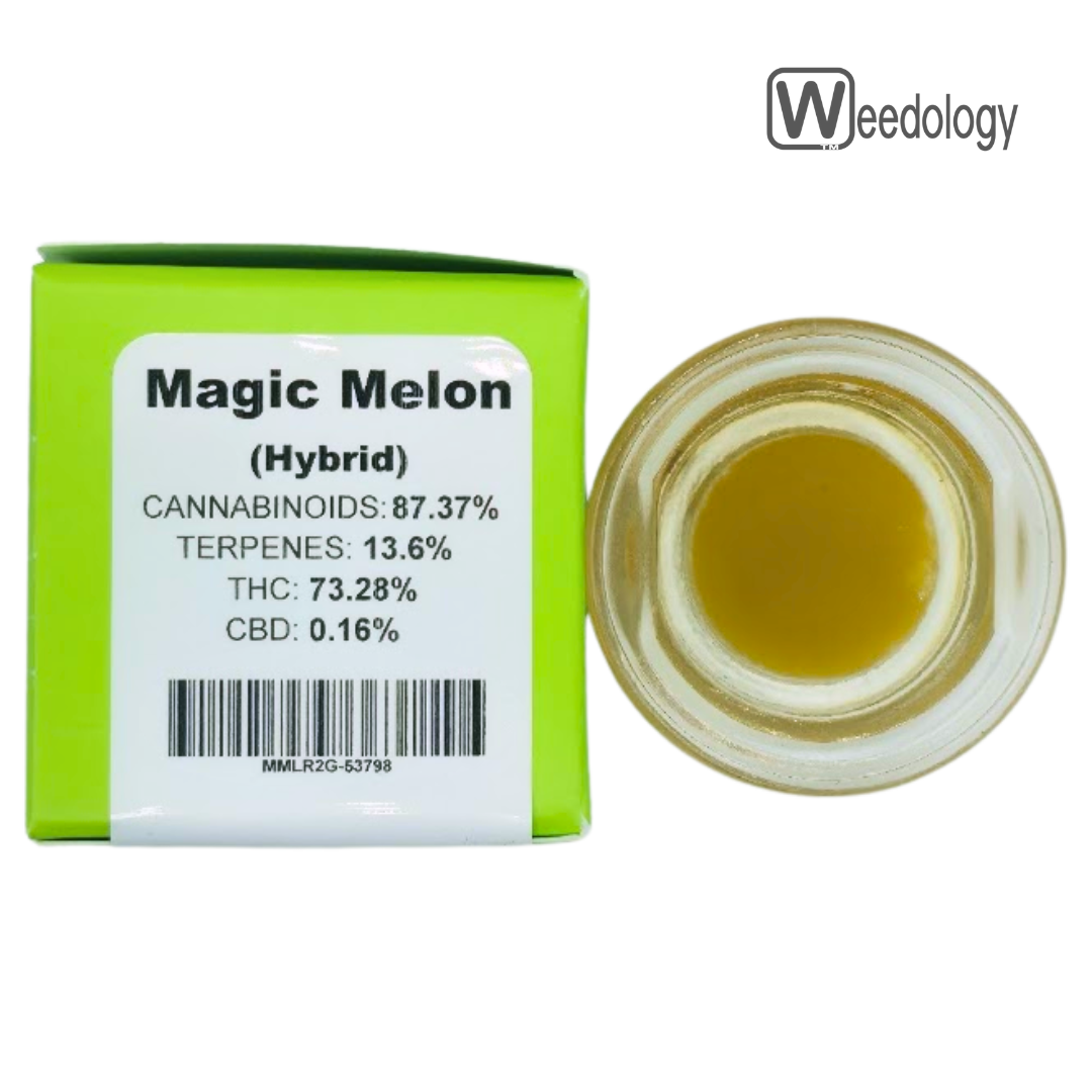 Photograph of product: BobSled 2g MAGIC MELON LR