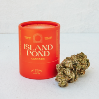 Photograph of product: Island Pond Oui'd Sun Flower | Lilac Diesel - g