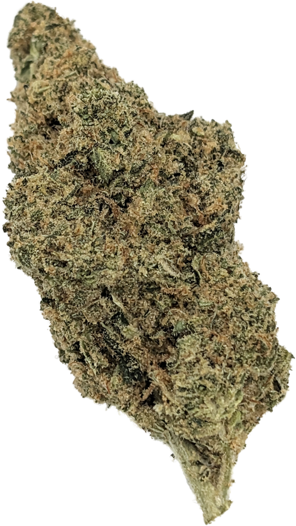 Photograph of product: Blueberry Scone (H) - 28g