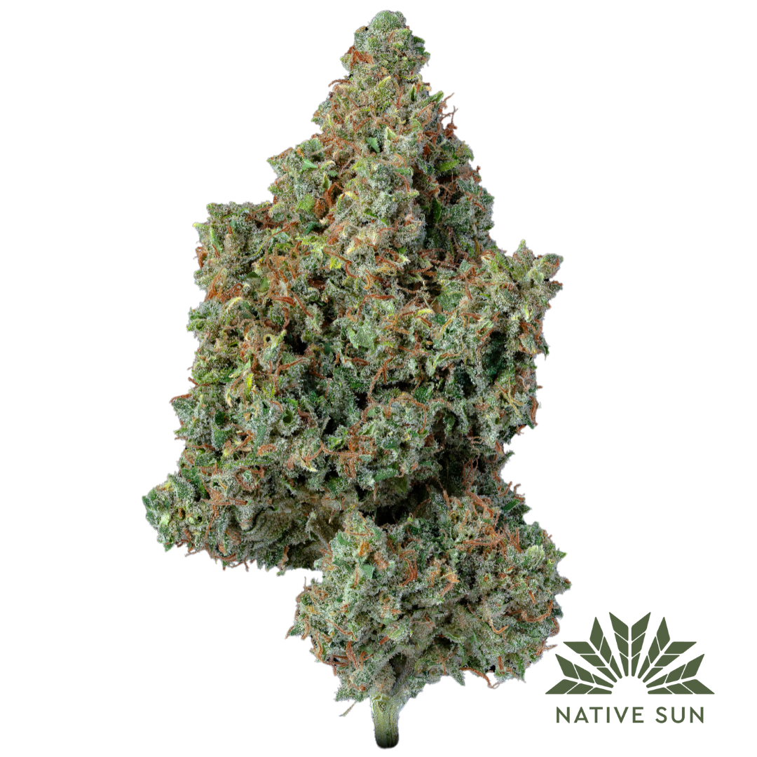 Photograph of product: Stargazer | Flower | 3.5g