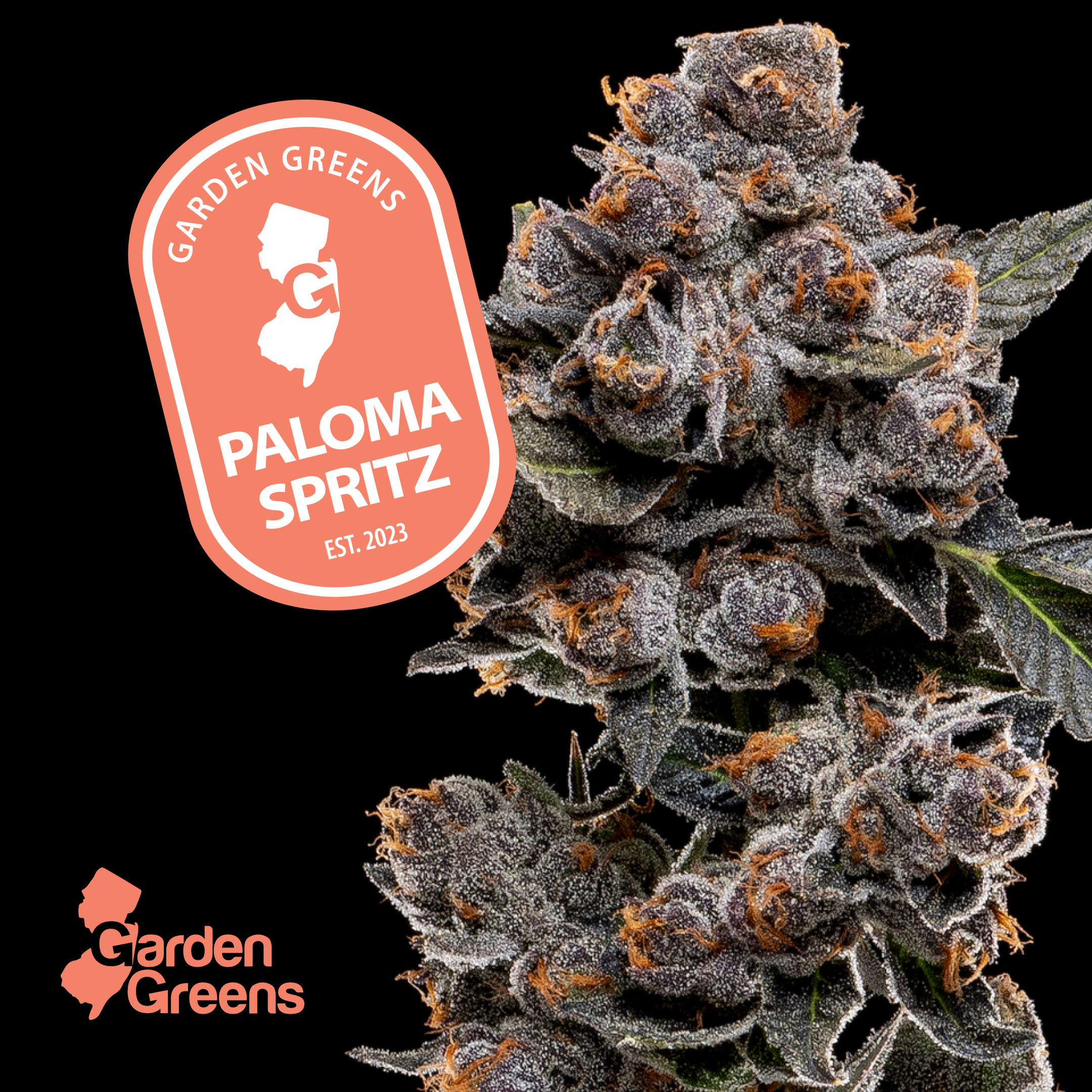 Photograph of product: Garden Greens | Flower | Paloma Spritz | 3.5g