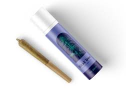 Photograph of product: Kind Tree Pre-Roll 5pk/1.75g- Mango Haze