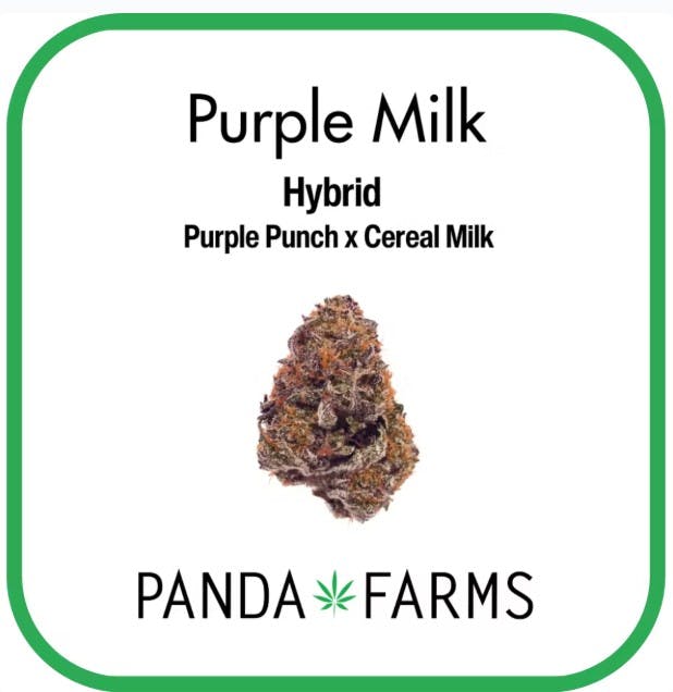 Photograph of product: PURPLE MILK 3.5G FLOWER