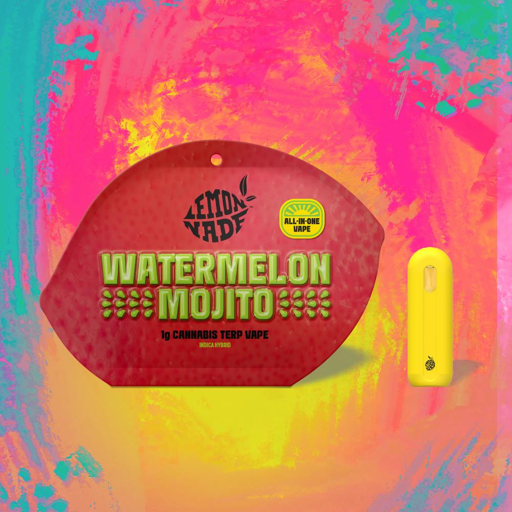 Photograph of product: WATERMELON MOJITO 1G ALL IN ONE