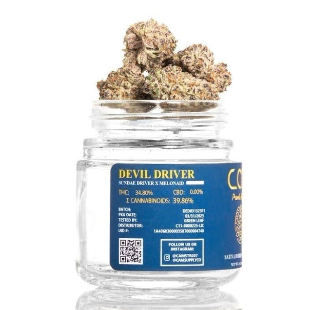 Photograph of product: Devil Driver | 3.5G - 