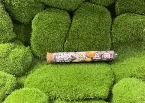 Photograph of product: Pre Roll Single | Super Silver Lemonade | Treetop Alliance