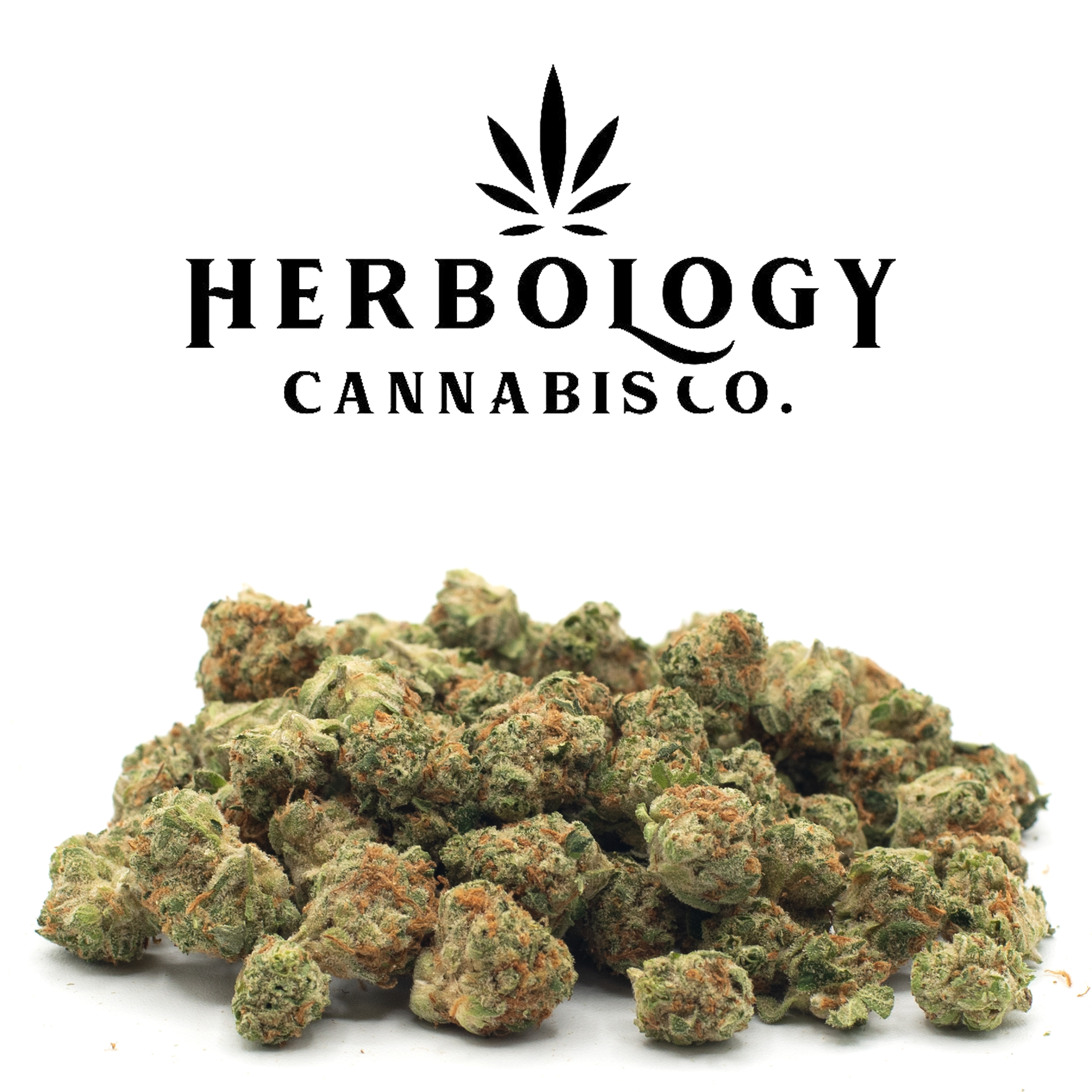 Photograph of product: Carbon | White Super Skunk | Smalls | Deli - 28g
