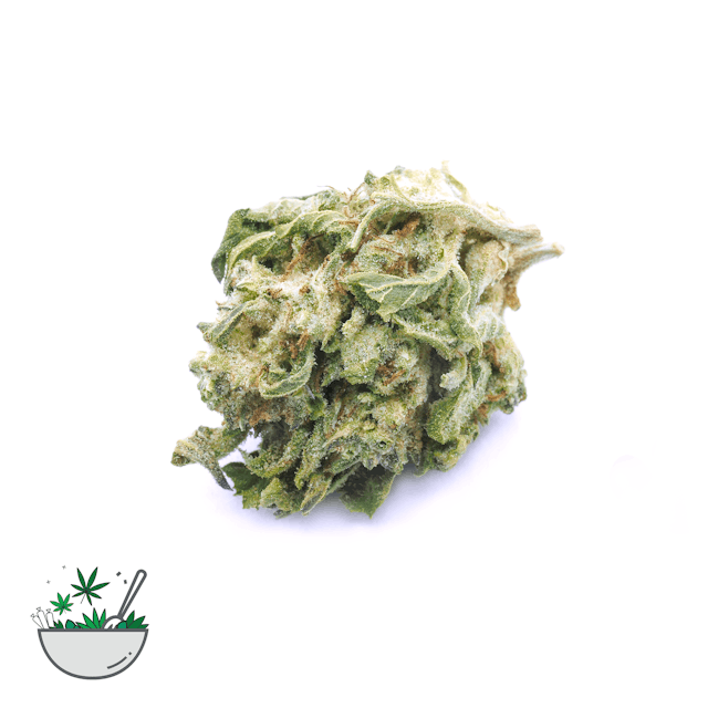 Photograph of product: Gush Mints Smalls (1/2oz) - Gush Mints 1/2oz  Mixed Greens