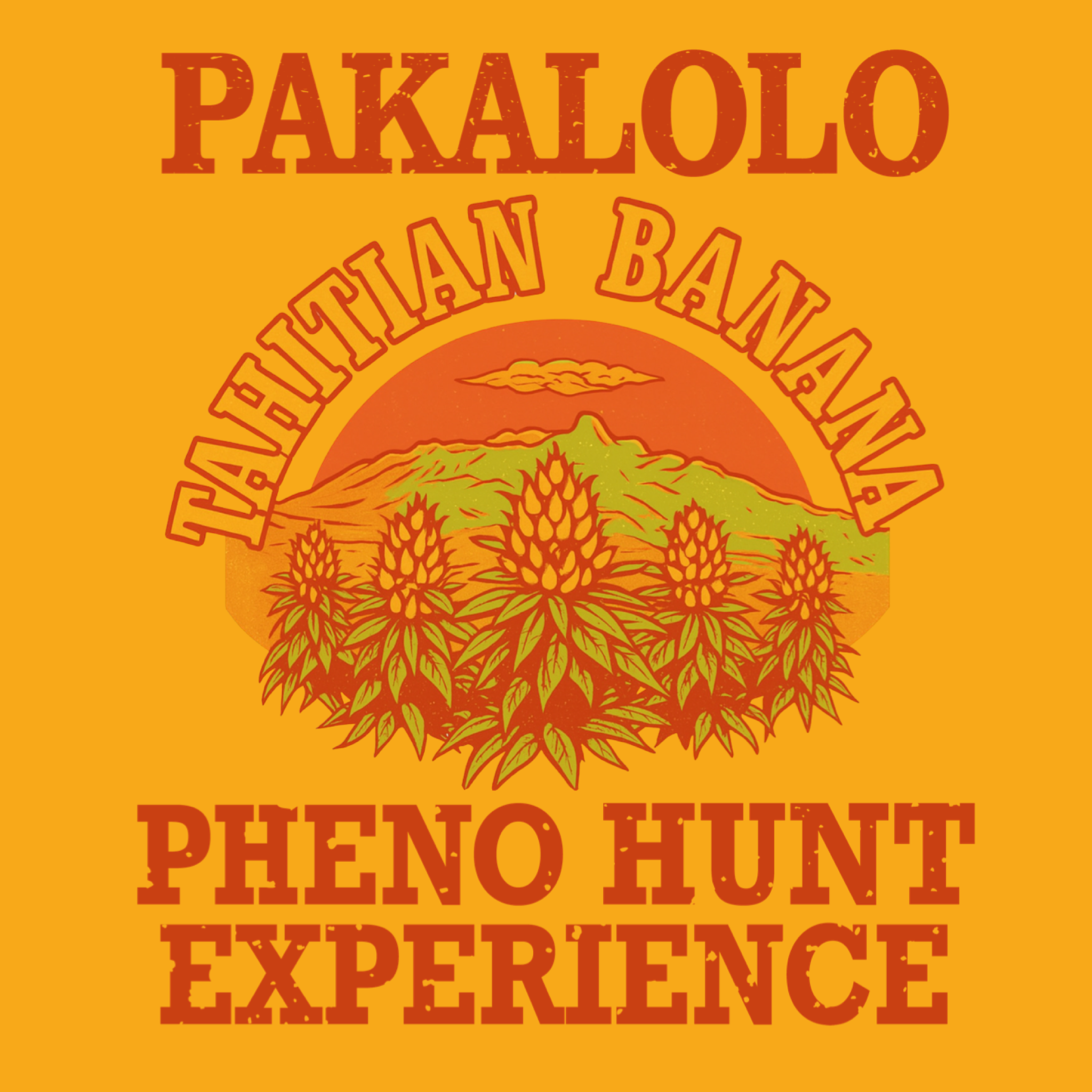 Photograph of product: Tahitian Banana Phenos - Pakalolo - 4g
