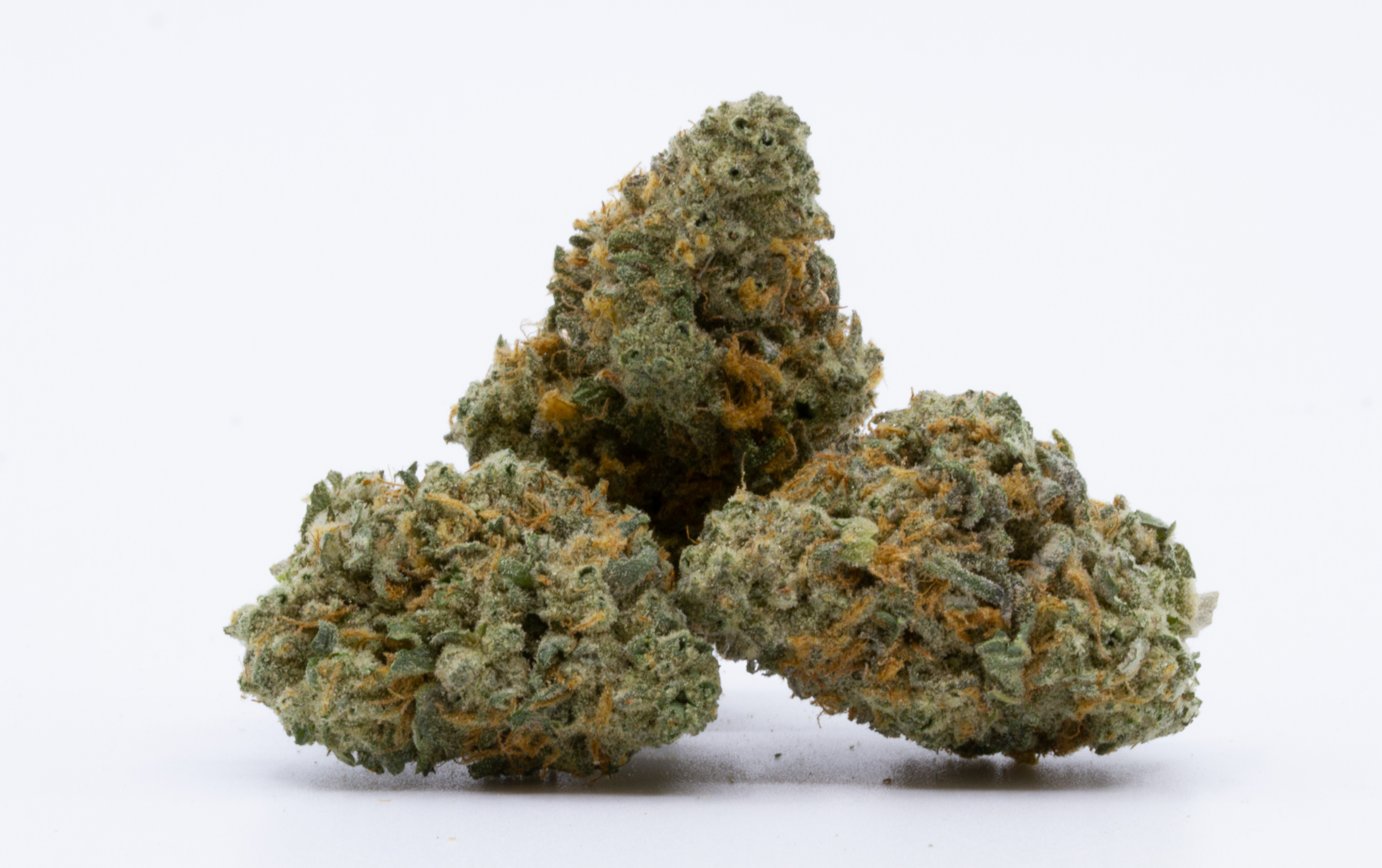 Photograph of product: Platinum Pave - 1oz - Plant Nerd - 24.60% - 28g