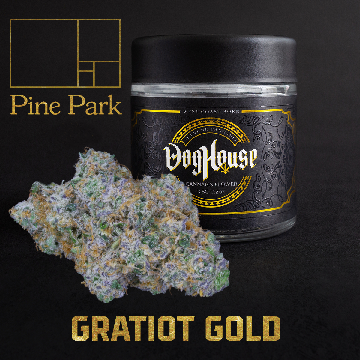 Photograph of product: Gratiot Gold by Pine Park - Flower - Oui'd - 3.5g