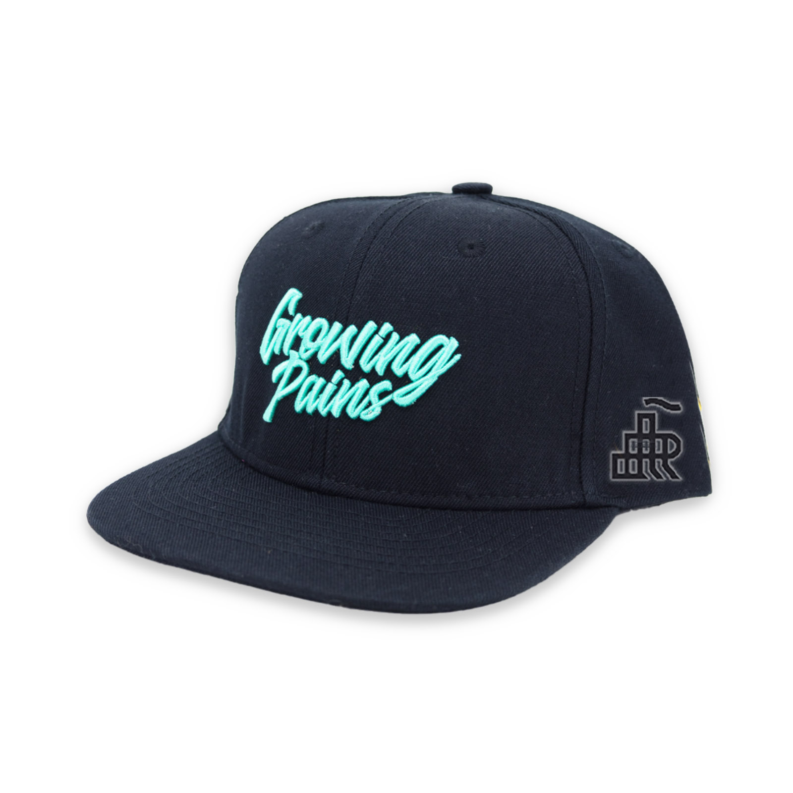 Photograph of Product: Growing Pains | Flat Bill Hat