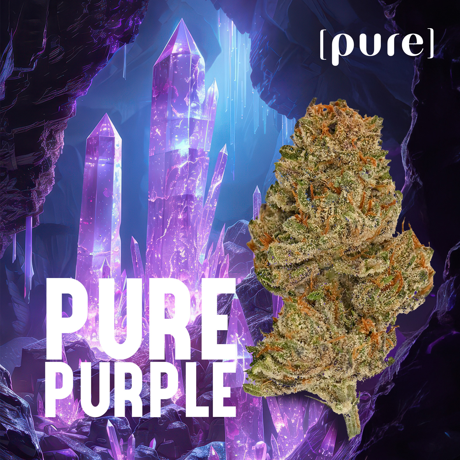 Photograph of product: Pure Purple Flower - 14g