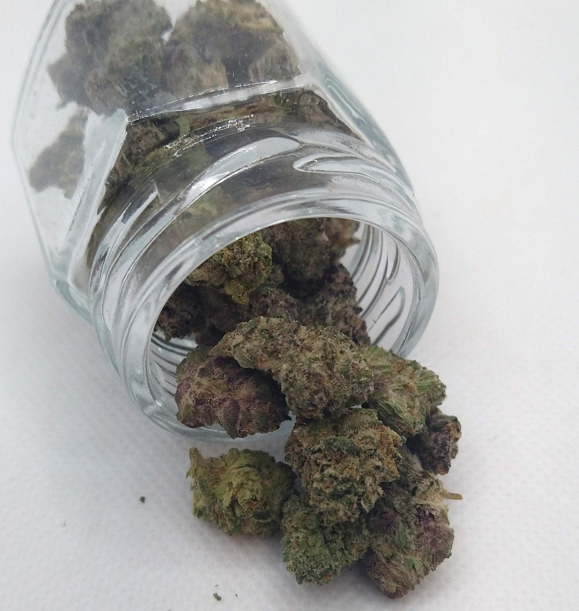 Photograph of product: Apex Farms | Sub-Zero #12 | Oui'd | Bulk Flower | Silver - 1g