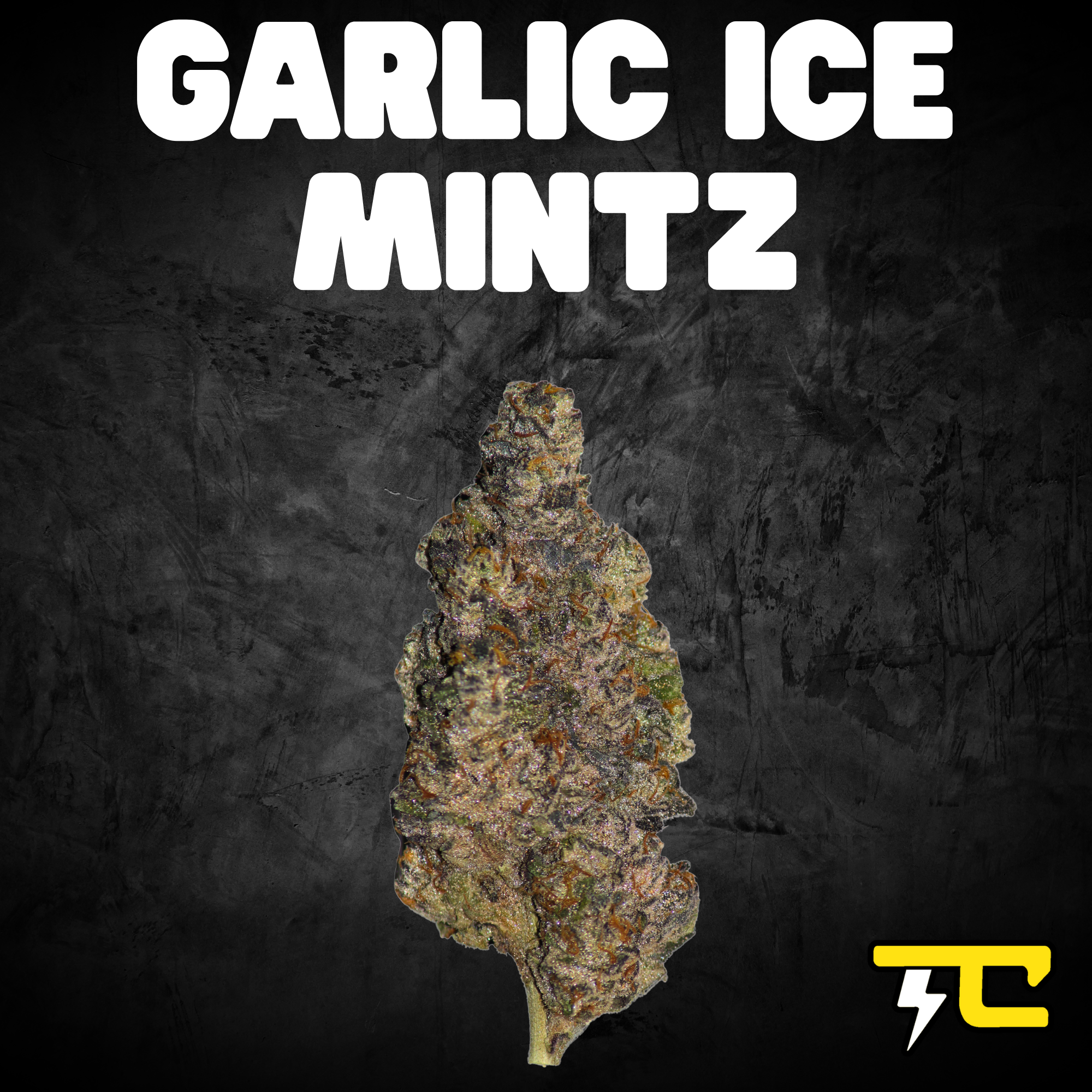 Photograph of product: GARLIC ICE MINTZ 14G