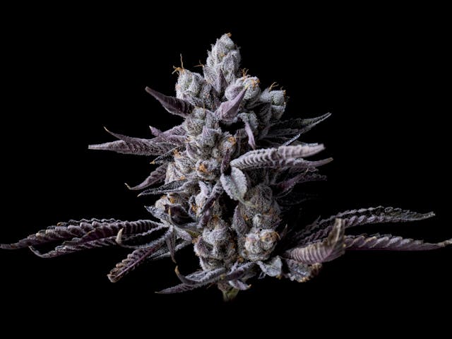 Photograph of product: Ghost Vapor | 14g Flower