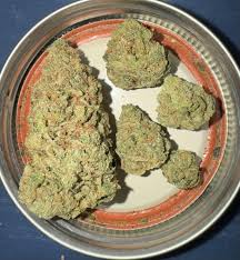 Photograph of product: New Altitude | 3.5g | Kosher Dawg