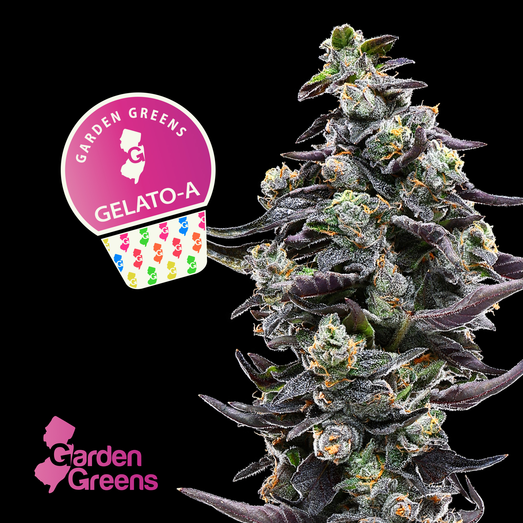 Photograph of product: Garden Greens Gelato A Flower (REC) - 3.5g