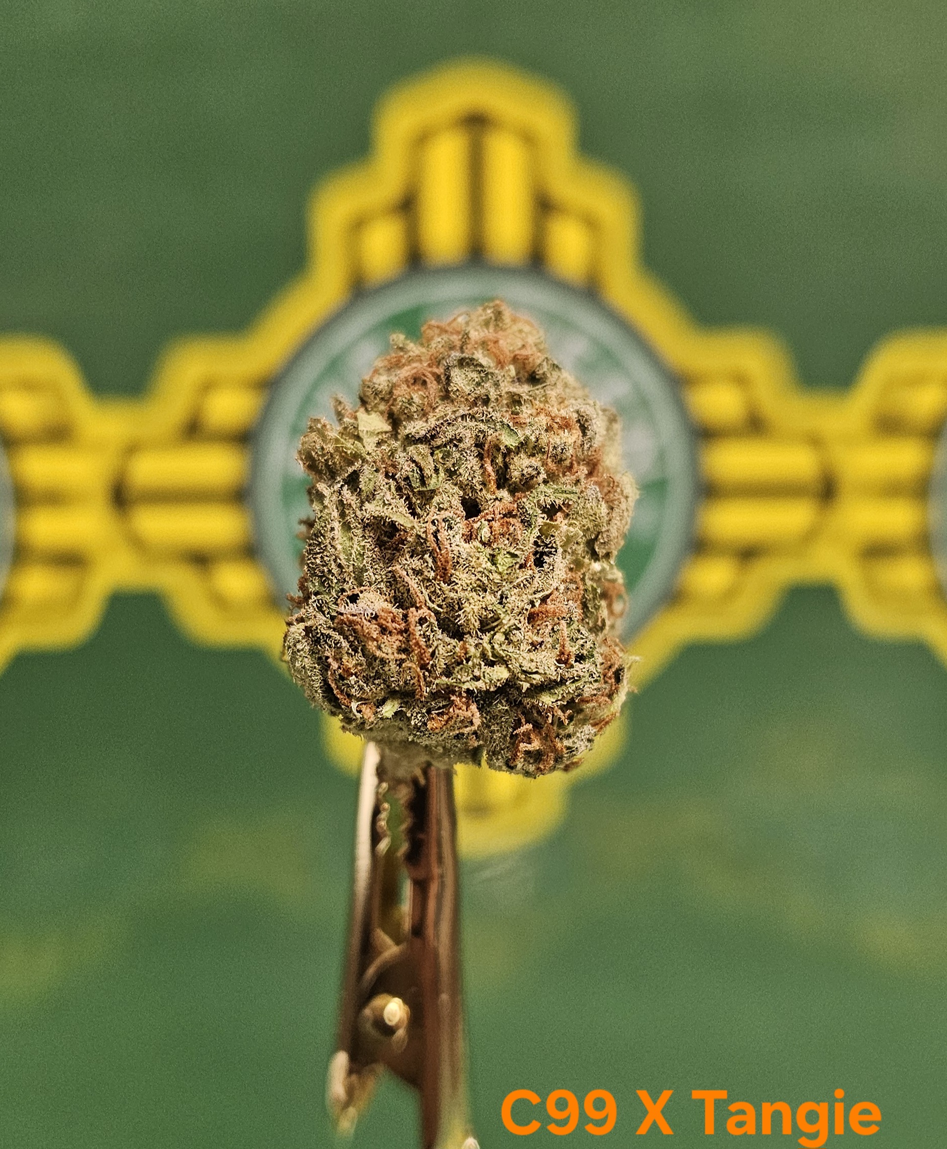 Photograph of product: C99 x Tangie - (S) - 7g