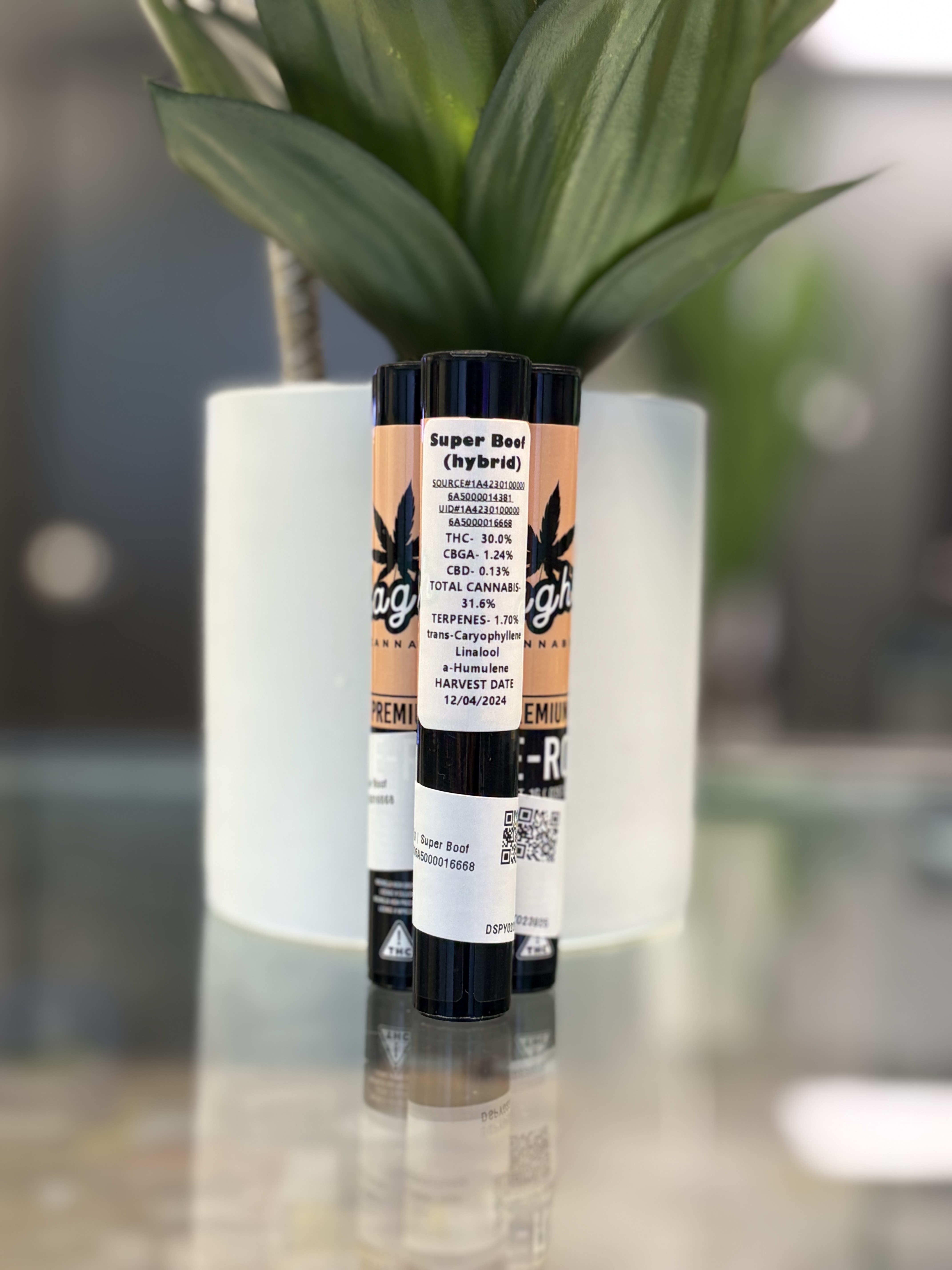 Photograph of product: Mag High | 1g | Super Boof