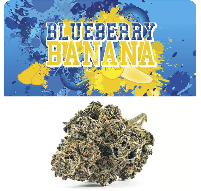 Photograph of product: Cookies - Flower - Blueberry Banana (3.5g)