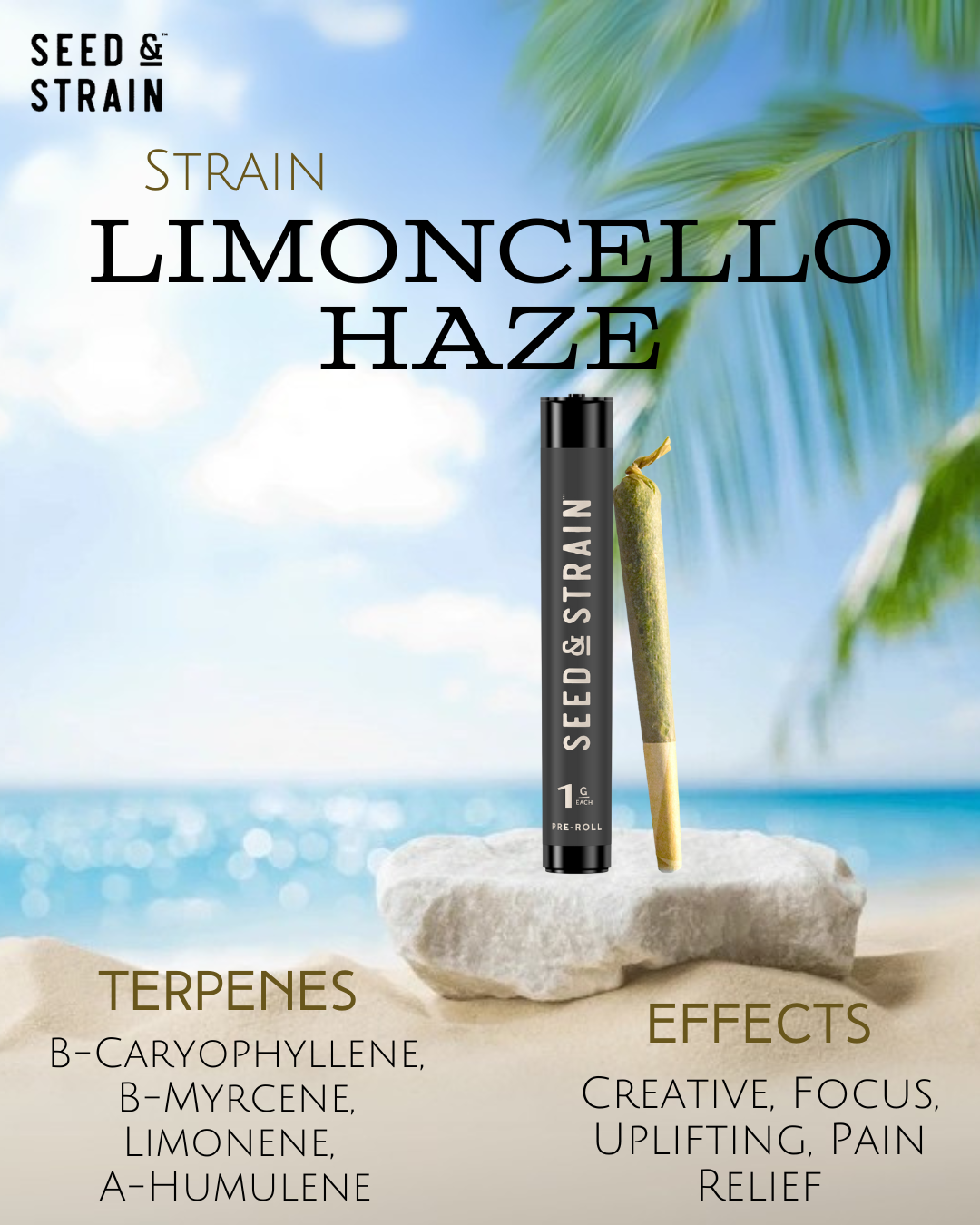 Photograph of product: SS Prerolls /1pk - LMNCLLO Haze