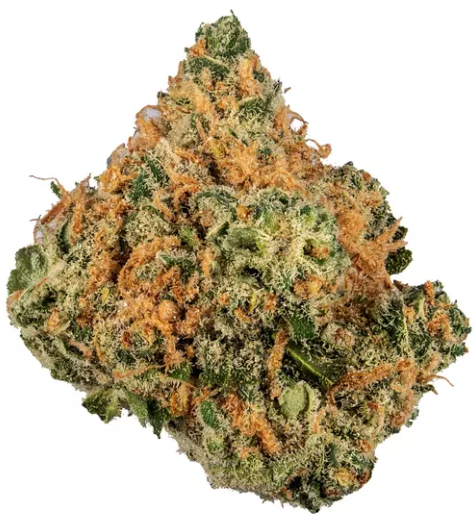 Photograph of product: 5150 Farms | Flower (A Bud) | Lime Skunk | Oui'd - 28g