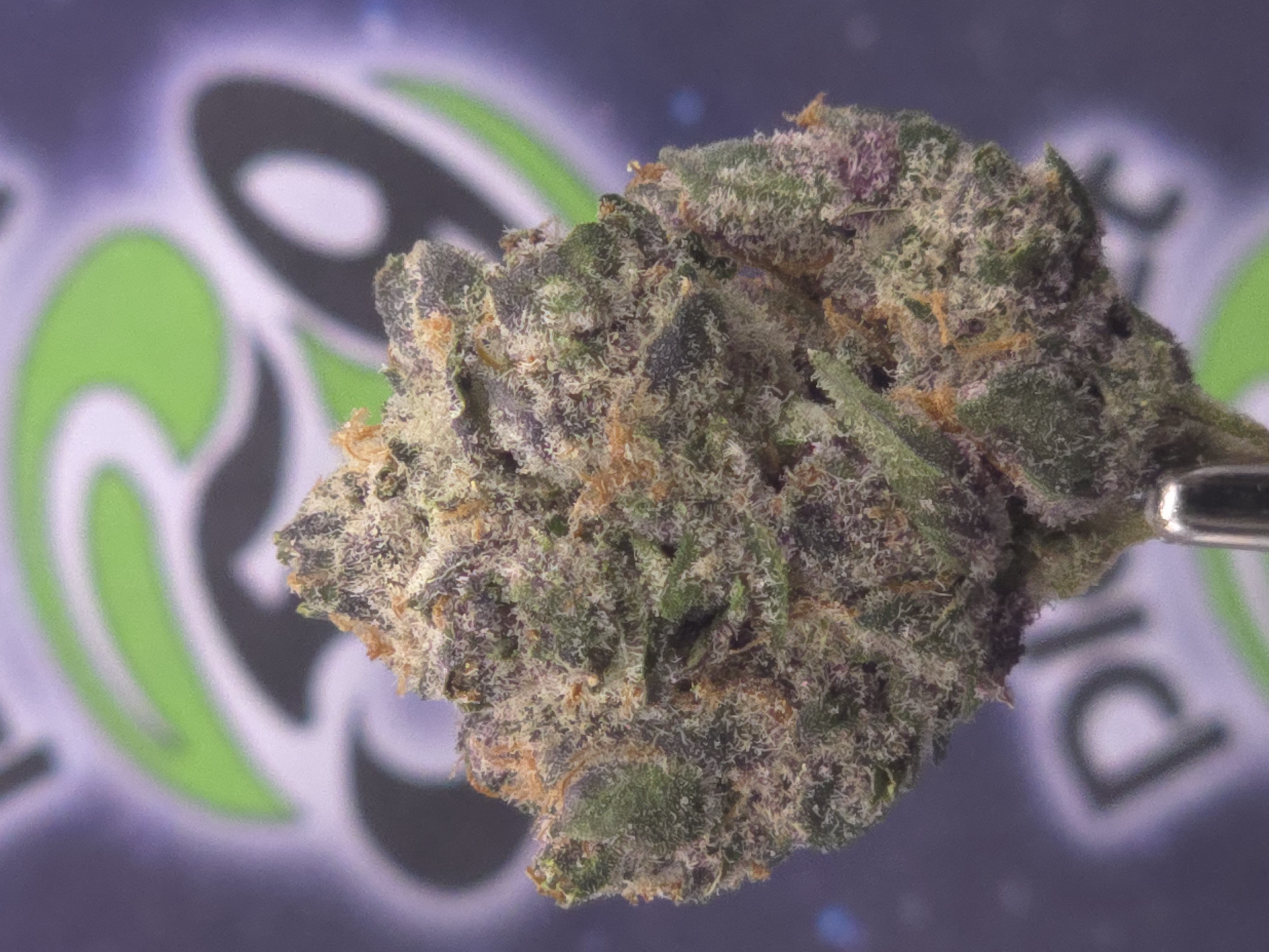 Photograph of product: Special Blend Gardens | The Glaze Prepack - 3.5g