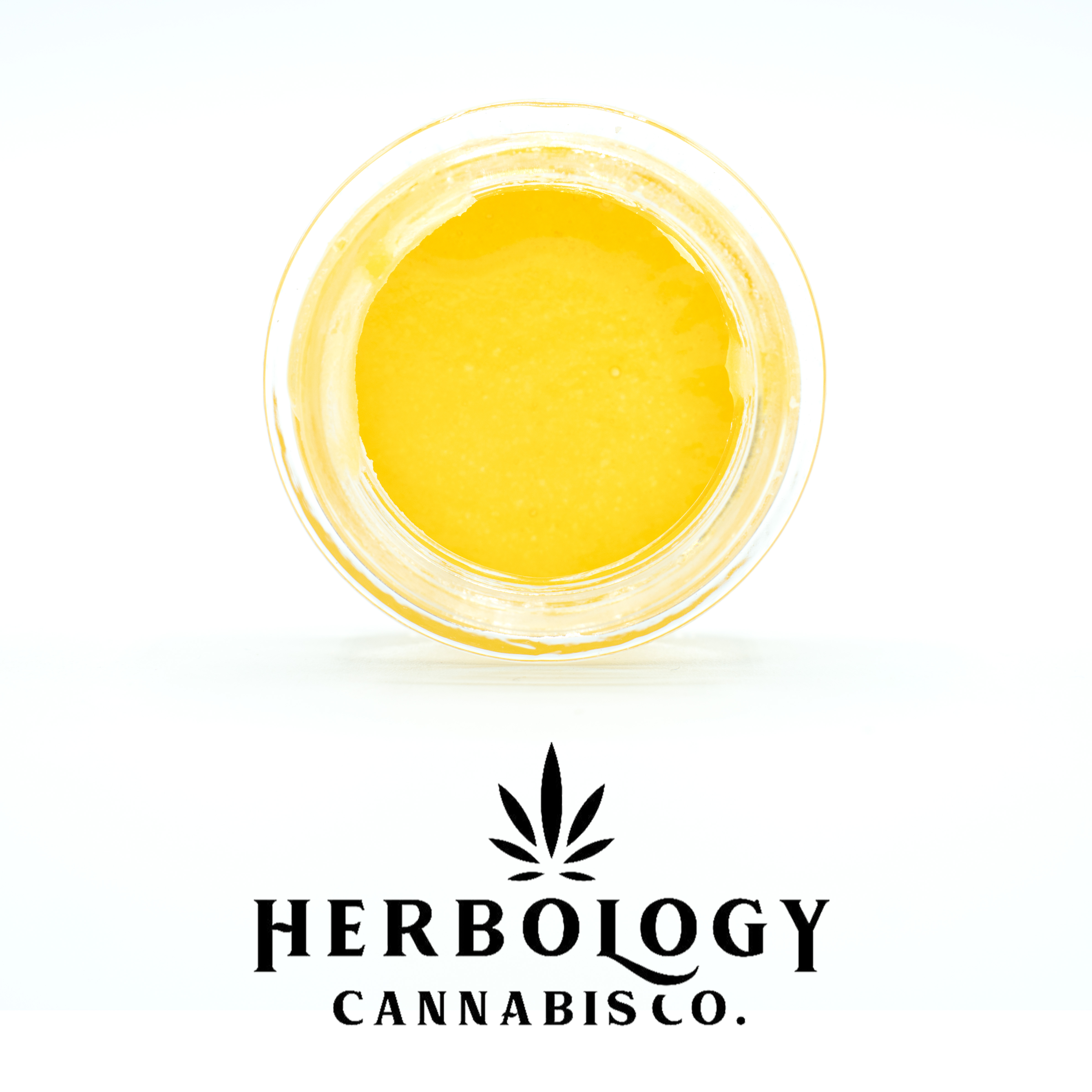 Photograph of product: Midwest Extracts | Live Resin Puck | Blue Mango | 1g