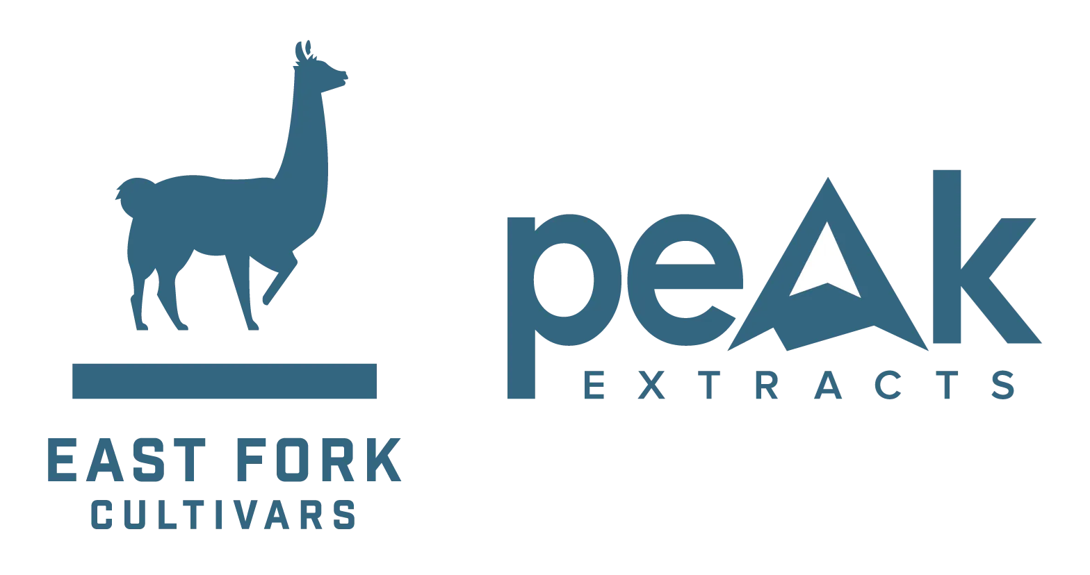 Photograph of product: Peak | Oui'd Chocolate Bar | 100mg