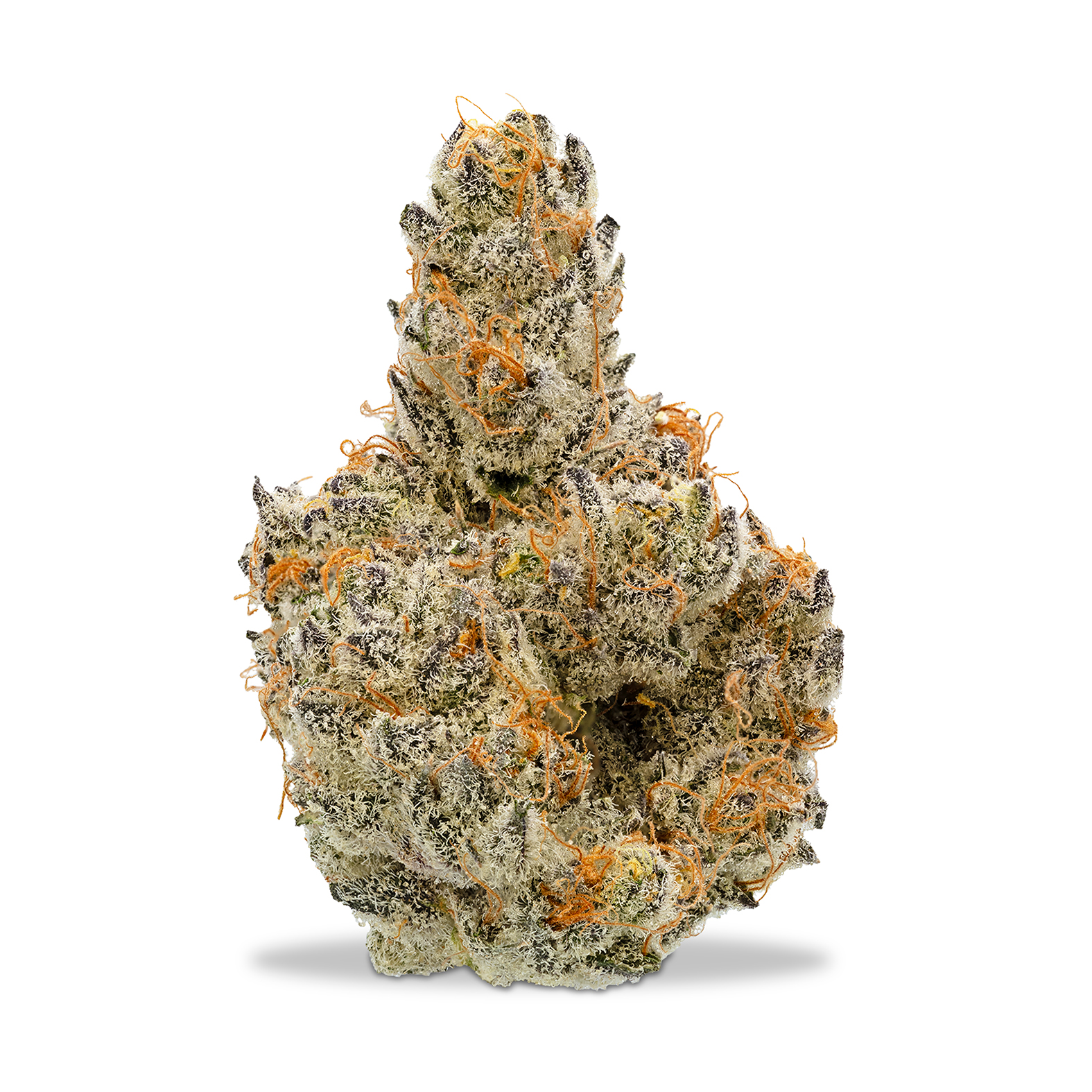 Photograph of product: Focus North - Honeymoon Crashers - 28g