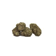 Photograph of Product: Gelato 41 x Donny Burger - 1g