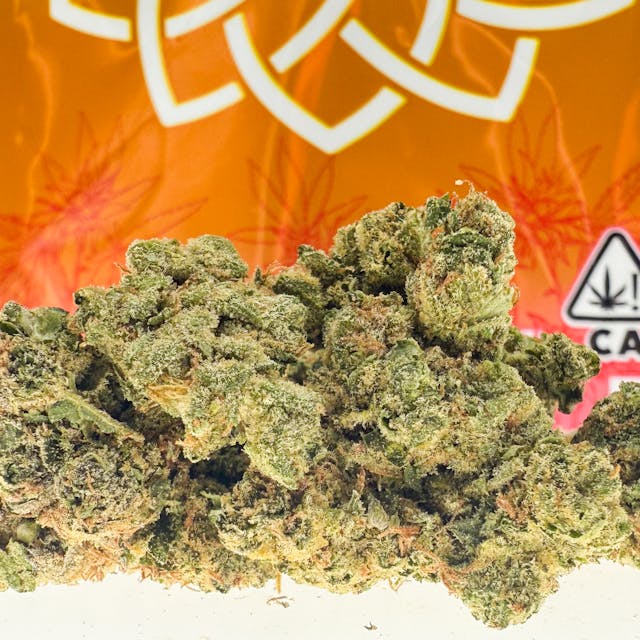 Photograph of product: Rainbow Belts - 