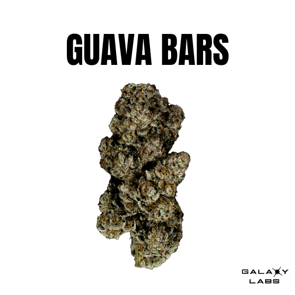 Photograph of product: GAL Flower - Guava Bars 3.5g