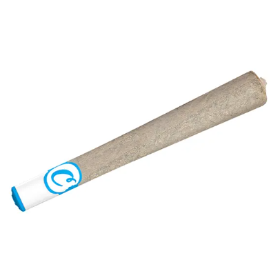 Photograph of product: MEDELLIN | 1G