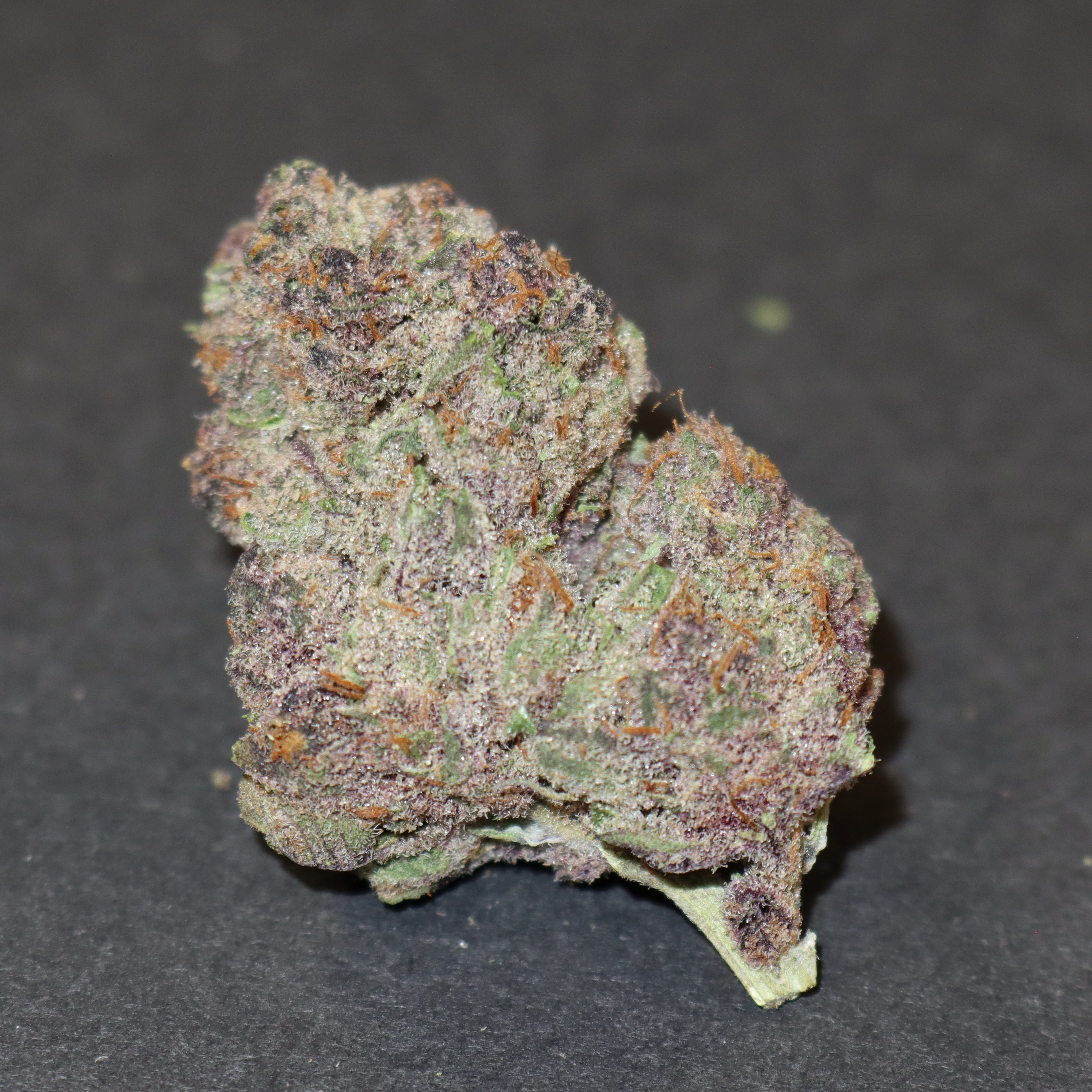 Photograph of product: Jacksons Farm (S) Tropicanna Cherry