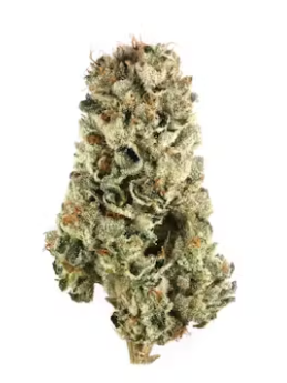 Photograph of product: Bold: Flower | Marshmallow OG | Oui'd Hybrid - 28g
