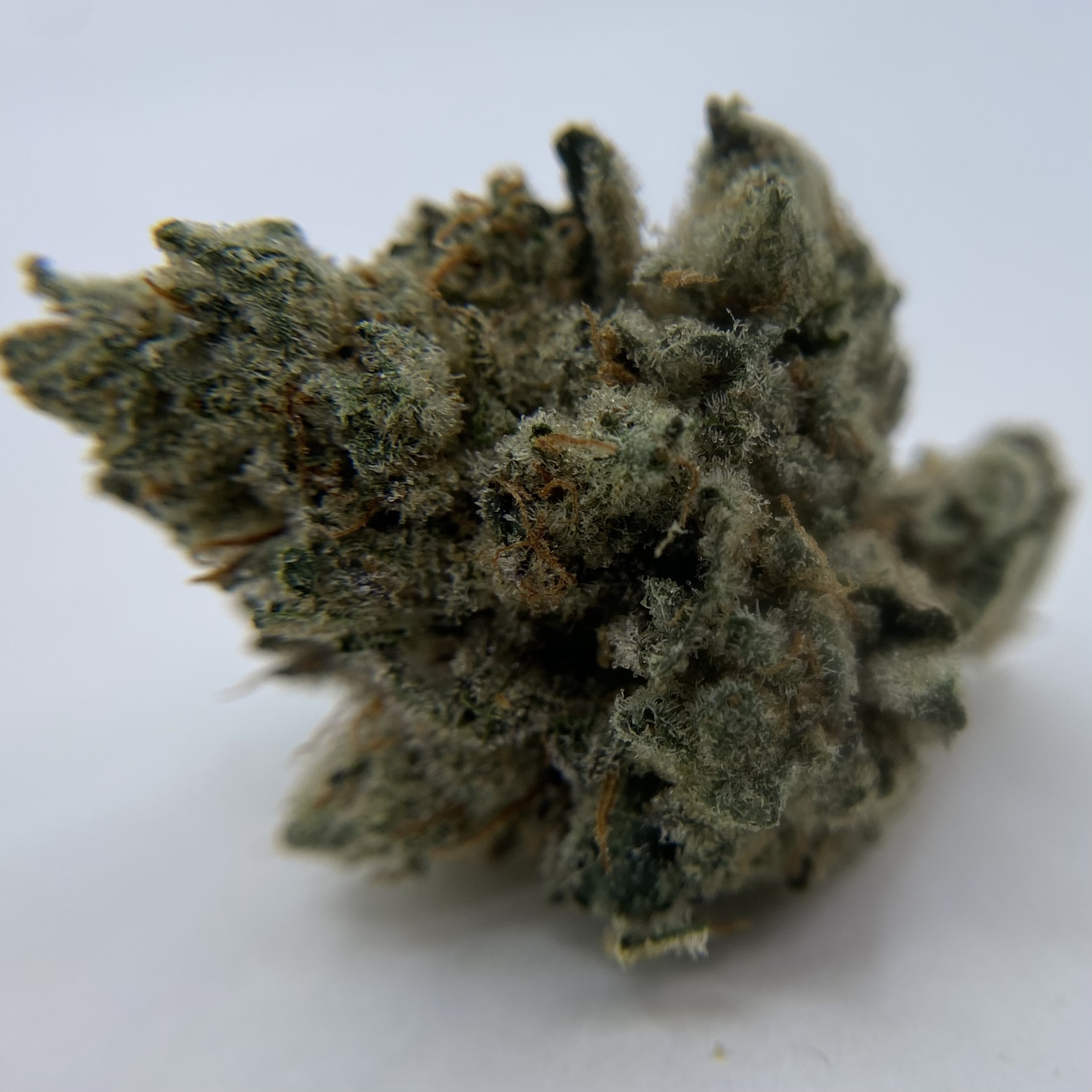 Photograph of product: INDICO: Grease Monkey Buds - 28g