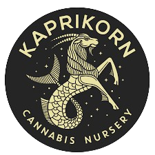 Photograph of product: KRN CHICKEN & WAFFLES - 3.5g