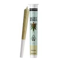 Photograph of product: Glitterati 1g - 